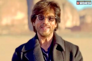 What is Shah Rukh Khan&#039;s next Film?
