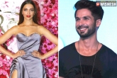 Bollywood, Deepika Padukone, shahid kapoor wishes deepika on her birthday in a unique style, Be unique