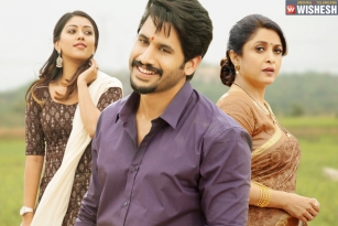 Shailaja Reddy Alludu First Day Collections
