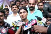 Viveka Murder Probe latest, YS Sharmila, viveka murder probe sharmila s sensational comments, Sharmila