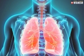 Lung Cancer, Lung Cancer india, signs to know about lung cancer, Health care