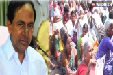 Telangana News, Mee Seva Centres, ts single woman pension scheme gets good response, Mr jupally krishna rao