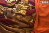 Sridevi last rites, Sridevi, sridevi s last rites performed fans attend in lakhs, Dead body