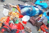 Stampede In Bihar, Stampede In Bihar, four pilgrims killed in stampede in bihar, Ap pilgrims