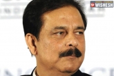 Hyderabad, Hyderabad, subrata roy s pet gets luxurious treatment at hyderabad zoo, Zoo