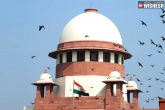 Interim Order, Interim Order, sc refuses interim order against centre s notification on aadhaar, Notification