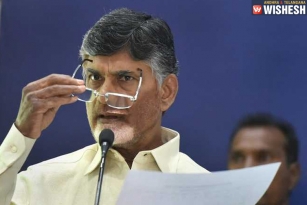 TDP&#039;s First List Of Candidates Is Here
