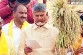TDP candidates, TDP candidates 2024 polls, tdp to change candidates in four constituencies, Ent