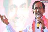 Telangana news, TRS, trs threatens oppositions to withdraw mlc nominations, Mlc by elections