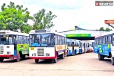 TSRTC news, TSRTC latest services, tsrtc resumes suburban and mofussil services in hyderabad, Tsrtc