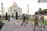 terror outfit, CISF Personnel, security tightened at taj mahal after isis threatens bomb attack, Isis threat
