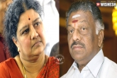 Tamil Nadu politics, Care taker Chief Minister O Paneerselvam, tamil nadu politics gets murkier, Ch vidyasagar rao