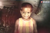 Meena, Telangana's Little Toddler, telangana s little toddler slips beyond 200 feet, Meena