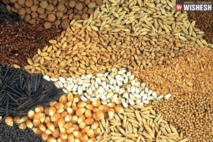 Telangana Soon To Export Seeds To European Countries