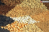 Telangana next, Telangana updates, telangana soon to export seeds to european countries, Germany