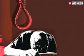 NCRB, NCRB, telangana breaches into top five in suicides, Suicide