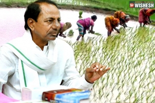 Telangana Government to Launch a Digital Survey on Farm Lands