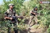 Bank robberies, Terrorists, terror hunt across nalgonda district, Nalgonda