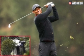 Tiger Woods car accident, Tiger Woods accident, after a major car crash tiger woods undergoes surgery, Golf