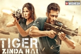 Salman Khan, Tiger Zinda Hai, tiger zinda hai trailer all set for action treat, Katrina kaif