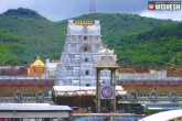 Tirumala coronavirus latest, TTD, 15 priests in tirumala tested positive with coronavirus, Ttd