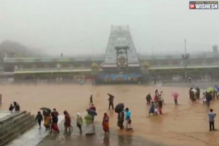 Havoc In Tirupati Due To Heavy Rains