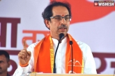 Congress, Uddhav Thackeray updates, uddhav thackeray is the pick for maharashtra chief minister, Shiv sena