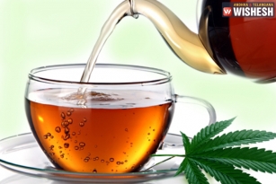 Uses and Benefits of Marijuana Tea