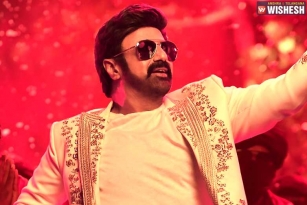 Veera Simha Reddy 15 Days Collections