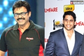 Chaitu, Venkatesh next movie, venky and chaitu to team up, Venkatesh new movie