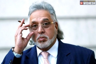 India To Seek Faster Extradition Process From UK In Mallya&#039;s Case