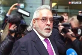 Vijay Mallya case, Vijay Mallya news, vijay mallya not coming to india soon, Extradition case