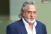 Vijay Mallya  latest, Vijay Mallya news, vijay mallya quits from world body fia, Vijay mallya extradition