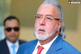 Vijay Mallya news, Vijay Mallya, vijay mallya could be back to india in 28 days, Euro ii