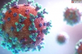 Coronavirus updates, Coronavirus news, who warns about an infectious new variant of coronavirus, Who