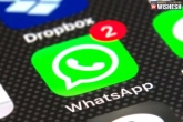 WhatsApp features, WhatsApp latest news, whatsapp updates on privacy policy row, Privacy policy