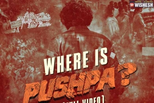 Where is Pushpa video byte is Outstanding