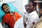 YS Jagan attacked, YS Jagan attacked, ys jagan refuses for statement in airport attack case, Jagan mohan reddy