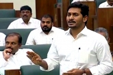YS Jagan about TDP, YS Jagan in Assembly, ys jagan responds about tdp scams in ap, Polavaram project