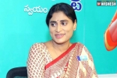 Andhra Pradesh Congress, YS Sharmila in Delhi, ys sharmila named as the ap congress chief, Andhra pradesh