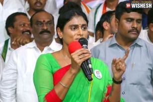 YS Sharmila promises to rebuild Congress in Andhra Pradesh