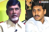 YSRCP, Chandrababu Naidu, several complaints filed by ysrcp against chandrababu naidu, Complaints