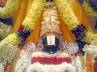 sri vari hundi, rush at tirumala, madhya cm seeks lord s blessings, Sri venkateshwara swamy