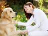 kids and Labradors, kids and Labradors, how to approach women your inner child knows best, Mentor