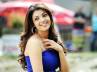 kajal agarwal baadshah, actress tapsee, kajal not able to enjoy the success completely, Kajal agarwal latest gallery