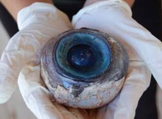 The giant eyeball belonged to a swordfish