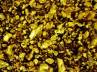 gold discovery during bore well digging, Nuziveedu Mandalam, workers find 7 kg of gold in field near nuziveedu, Andala