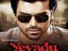 'Yevadu', producer Dil Raju, yevadu a super flick from the mega family, Actor ram charan