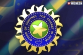 BCCI, Cricket news, bcci revenue to dip from rs 2000 crore to rs 400 crore, 000 crore