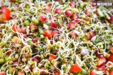 Sprouts nutrients, Sprouts, all about the nutritious benefits of sprouts, Health benefits